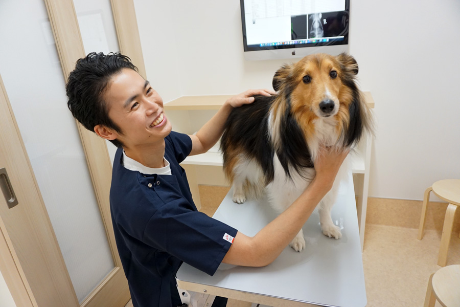 若葉はるかぜ動物病院院長