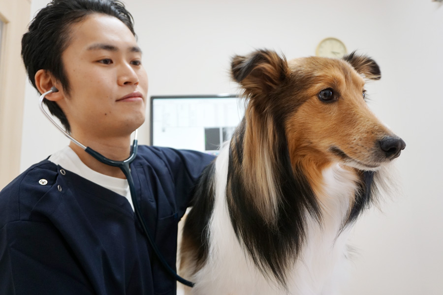 若葉はるかぜ動物病院院長