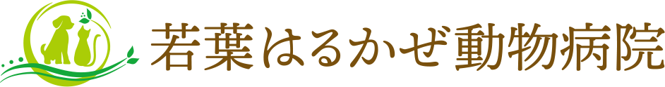 若葉はるかぜ動物病院