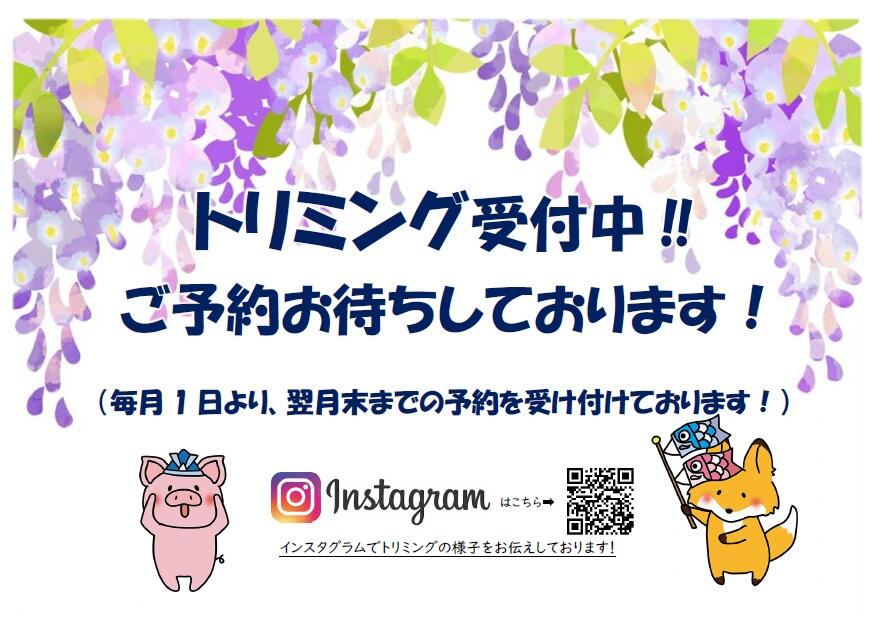 無題39.jpg