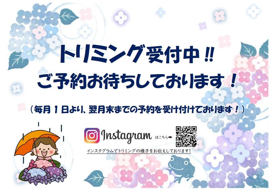 無題40.jpg