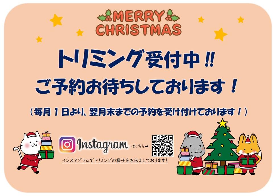 無題.jpg