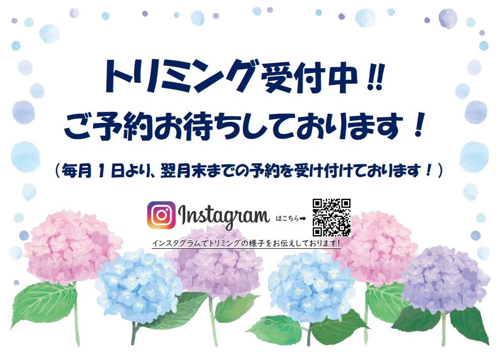 無題.jpg