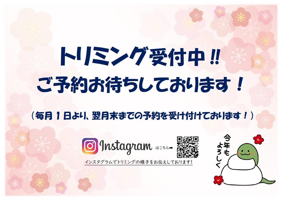 無題.jpg