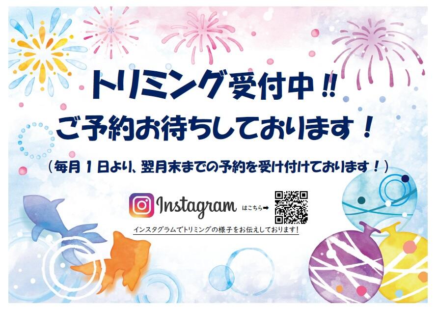 無題.jpg
