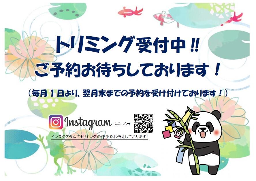 無題.jpg
