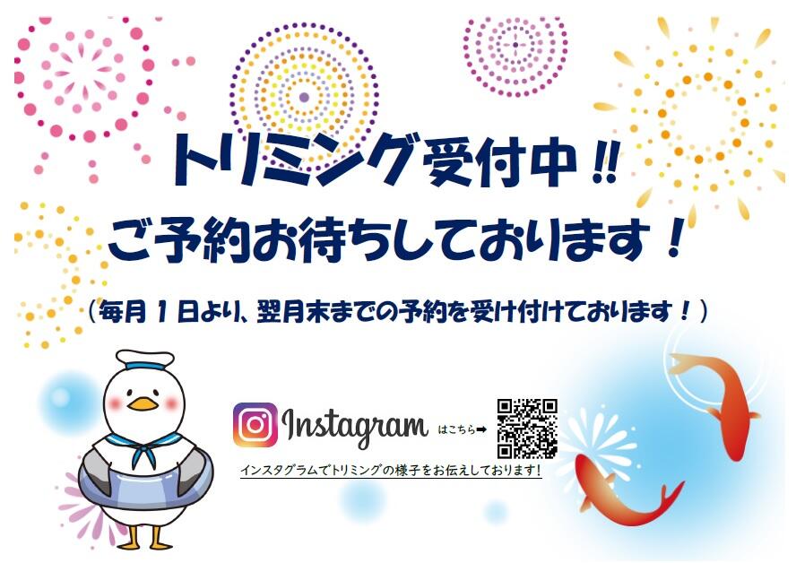 無題.jpg