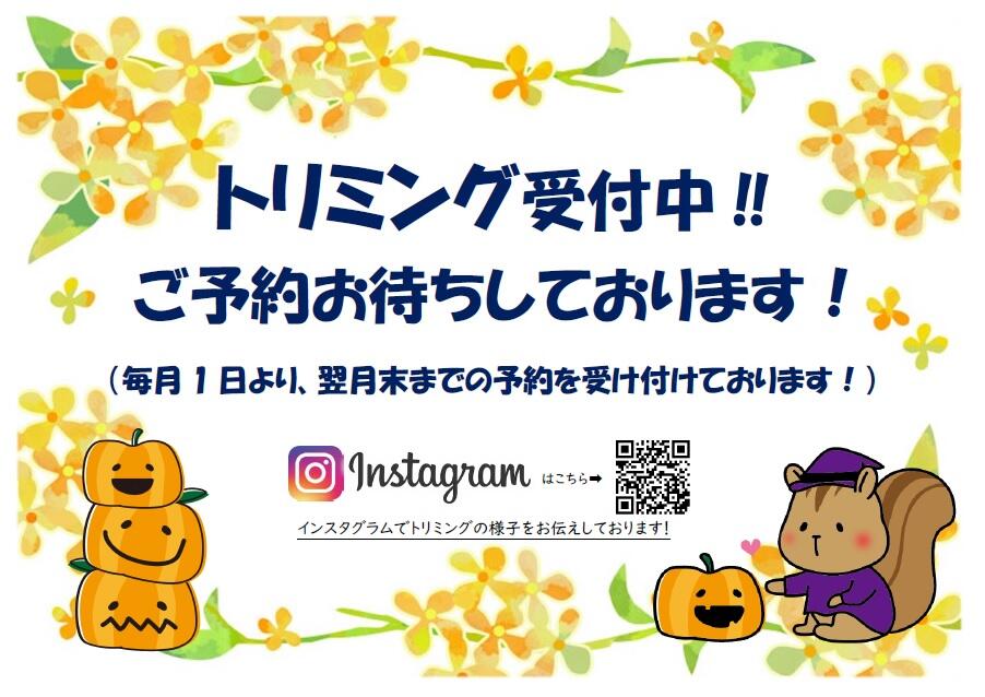 無題.jpg