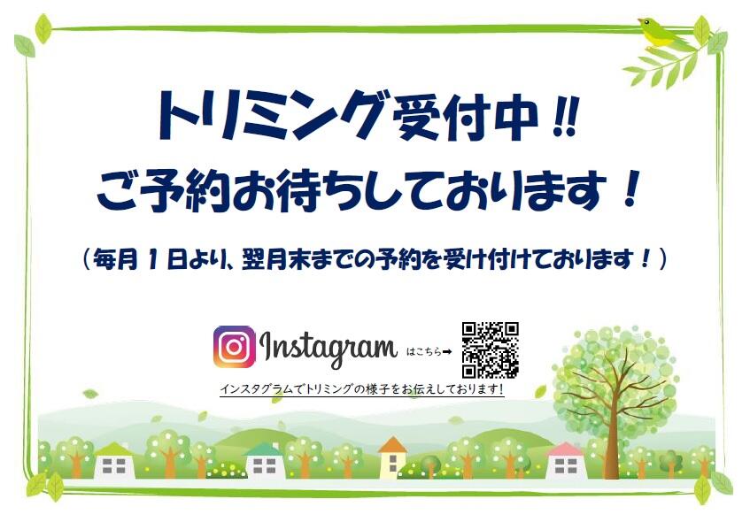 無題.jpg