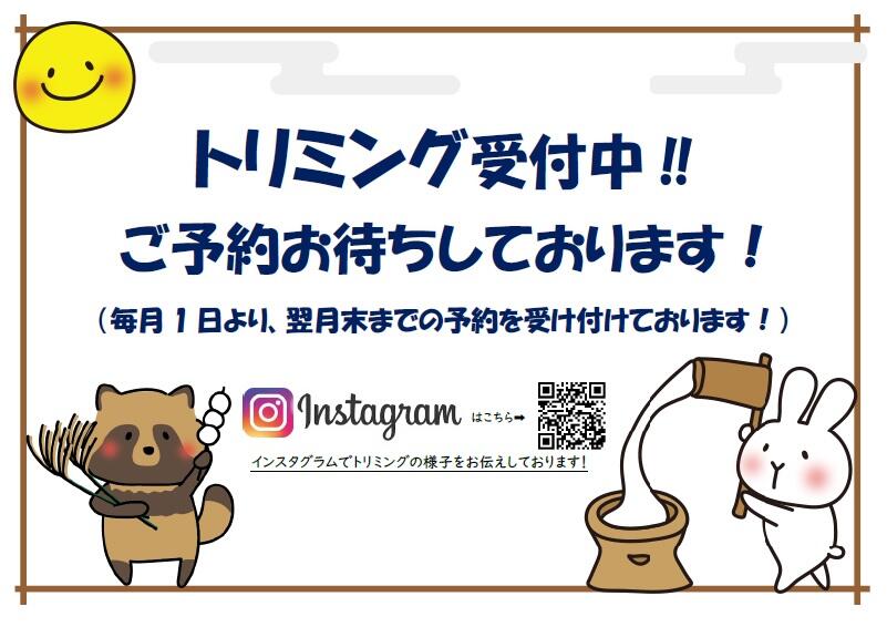無題.jpg