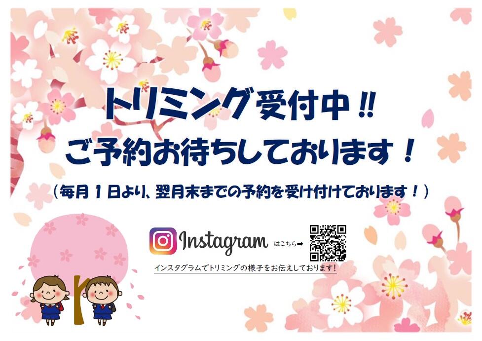 無題.jpg