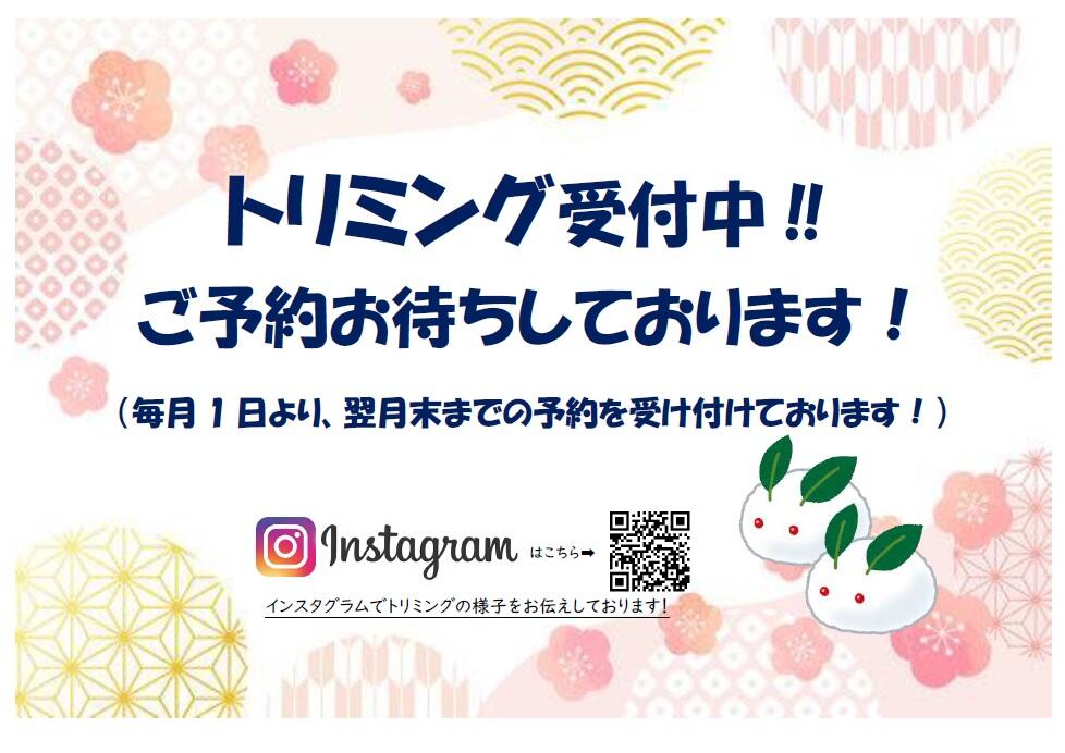 無題.jpg