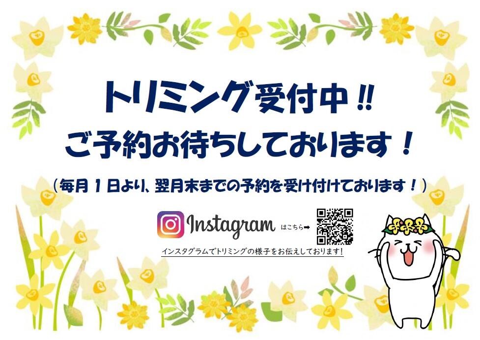 無題.jpg